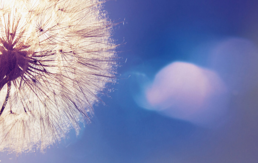 米乐app下载入口